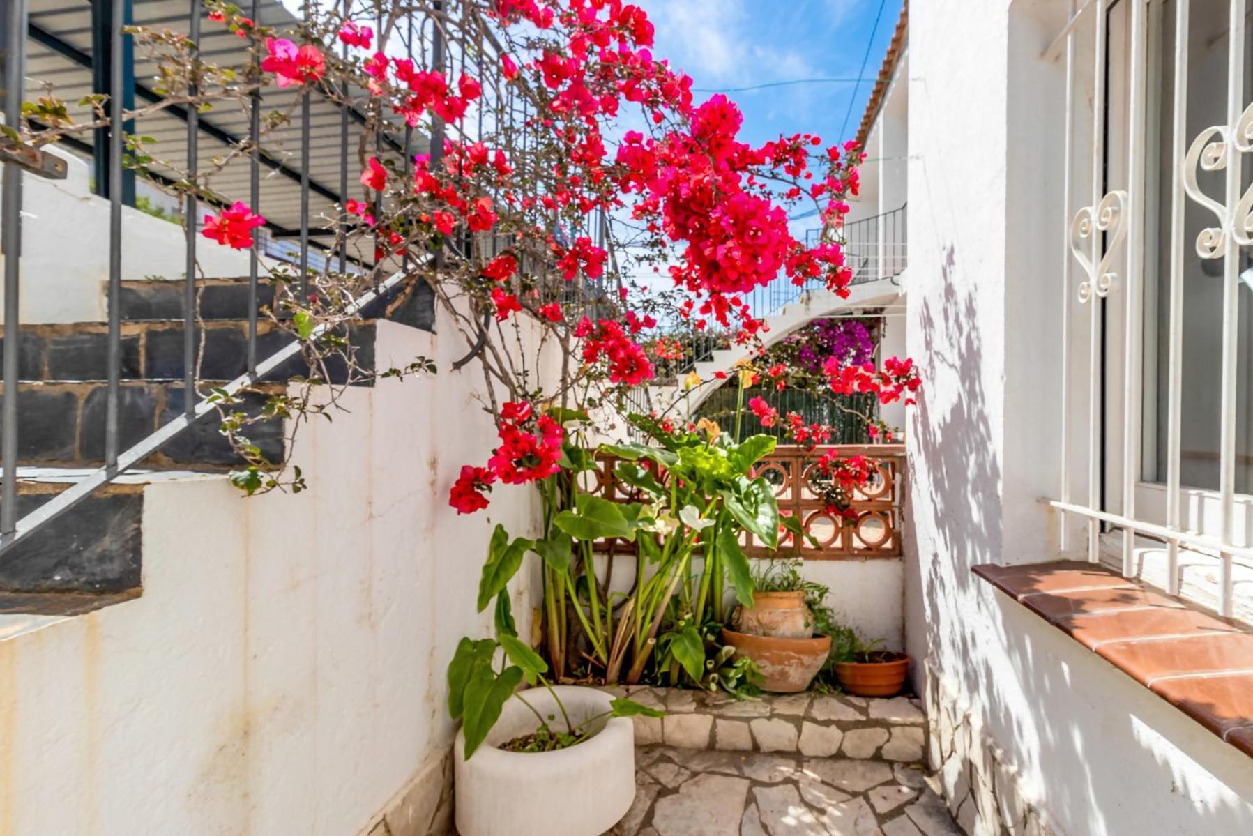 Apartamento Fener De Baix 81 Bonito En Primera Línea De Mar *